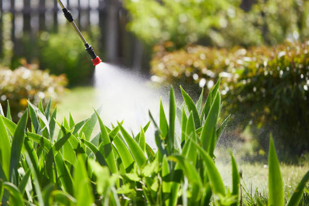 Tamper-Resistant Bait Stations for Rodents in Deer Park