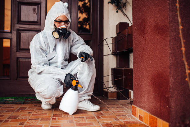 Attic and Crawl Space Rodent Treatment in Deer Park